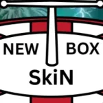 New BoxSkin 2025
